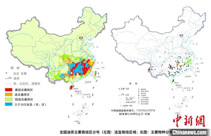 中国油茶产业快速发展预计2035年综合产值超万亿元