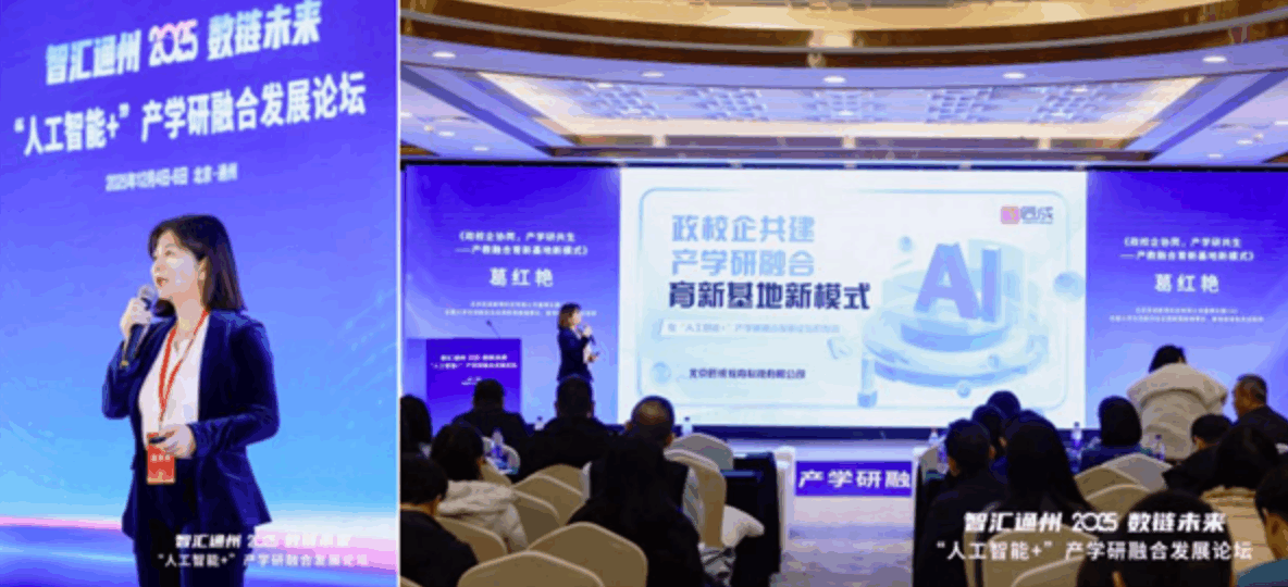 1765597460.png 1765597460.png